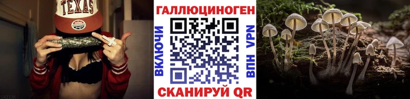 Купить где  Чухлома  Галлюциногенные грибы прущие грибы 