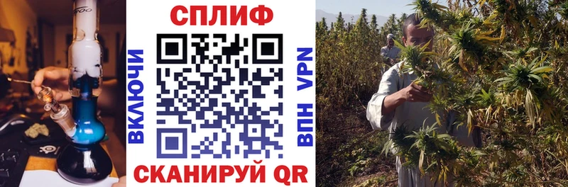 Купить закладки  Чухлома  Бошки Шишки White Widow 